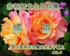 ֹ,ɶ󷨵ӹ編ִʦ𻪵(20)