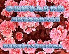 ֹ,ɶ󷨵ӹ編ִʦ𻪵(20)
