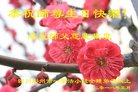 法轮功,成都大法弟子恭贺世界法轮大法日暨师尊华诞(20条)