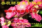 ֹ,ɶ󷨵ӹ編ִʦ𻪵(20)