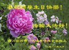 ֹ,ɶ󷨵ӹ編ִʦ𻪵(20)