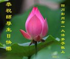 法轮功,成都大法弟子恭贺世界法轮大法日暨师尊华诞(20条)