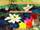 ֹ,ϴ󷨵ӹ編ִʦ𻪵(22)