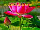 ֹ,ɶ󷨵ӹ編ִʦ𻪵(20)
