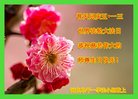 ֹ,ӱ󷨵ӹ編ִʦ𻪵(18)