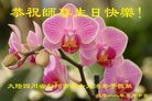 ֹ,ɶ󷨵ӹ編ִʦ𻪵(20)