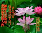 ֹ,󷨵ӹ編ִʦ𻪵(20)