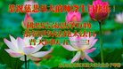 ֹ,󷨵ӹ編ִʦ𻪵(20)