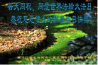 ֹ,󷨵ӹ編ִʦ𻪵(20)