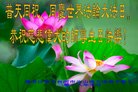 ֹ,󷨵ӹ編ִʦ𻪵(19)