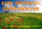 法轮功,黑龙江大法弟子恭贺世界法轮大法日暨师尊华诞(19条)