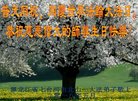 ֹ,󷨵ӹ編ִʦ𻪵(19)