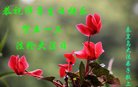 ֹ,ػʵ󷨵ӹ編ִʦ𻪵(18)