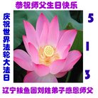 法轮功,辽宁大法弟子恭贺世界法轮大法日暨师尊华诞(22条)