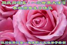 ֹ,Ĵ󷨵ӹ編ִʦ𻪵(21)