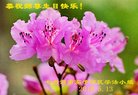 ֹ,󷨵ӹ編ִʦ𻪵(19)