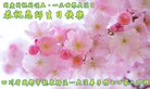ֹ,ɶ󷨵ӹ編ִʦ𻪵(20)