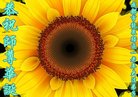 ֹ,ɶ󷨵ӹ編ִʦ𻪵(20)