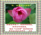 ֹ,󷨵ӹ編ִʦ𻪵(21)