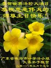 法轮功,广东大法弟子恭贺世界法轮大法日暨师尊华诞(26条)