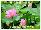 ֹ,ɽ󷨵ӹ編ִʦ𻪵(19)