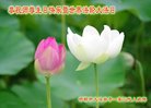 ֹ,ӱ󷨵ӹ編ִʦ𻪵(26)