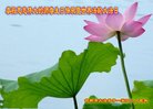 ֹ,ӱ󷨵ӹ編ִʦ𻪵(18)