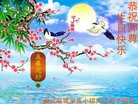 ֹ,󷨵ӹ編ִʦ𻪵(21)