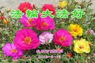 ֹ,󷨵ӹ編ִʦ𻪵(19)