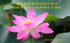 法轮功,山西大法弟子恭贺世界法轮大法日暨师尊华诞(19条)