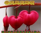 ֹ,Ĵ󷨵ӹ編ִʦ𻪵(21)