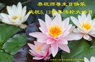 ֹ,д󷨵ӹ編ִʦ𻪵(19)