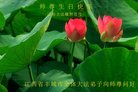 ֹ,󷨵ӹ編ִʦ𻪵(22)
