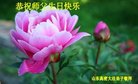 ֹ,Ϋ󷨵ӹ編ִʦ𻪵(26)