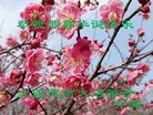 ֹ,󷨵ӹ編ִʦ𻪵(23)