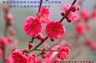 ֹ,ϴ󷨵ӹ編ִʦ𻪵(23)