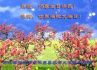 ֹ,żҿڴ󷨵ӹ編ִʦ𻪵(20)