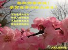 ֹ,󷨵ӹ編ִʦ𻪵(25)