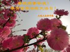 ֹ,󷨵ӹ編ִʦ𻪵(25)