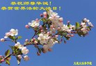 ֹ,󷨵ӹ編ִʦ𻪵(25)