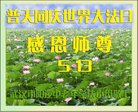 ֹ,󷨵ӹ編ִʦ𻪵(19)