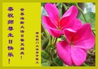 ֹ,󷨵ӹ編ִʦ𻪵(19)