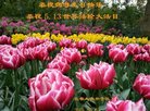 ֹ,󷨵ӹ編ִʦ𻪵(23)