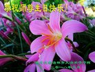 ֹ,󷨵ӹ編ִʦ𻪵(21)