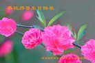 法轮功,张家口大法弟子恭贺世界法轮大法日暨师尊华诞(19条)