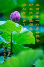 法轮功,重庆大法弟子恭贺世界法轮大法日暨师尊华诞(18条)