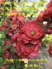 ֹ,󷨵ӹ編ִʦ𻪵(18)