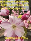 ֹ,󷨵ӹ編ִʦ𻪵(18)