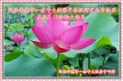 ֹ,ʯׯ󷨵ӹ編ִʦ𻪵(26)