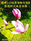 ֹ,󷨵ӹ編ִʦ𻪵(22)